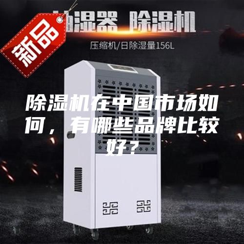 除湿机在中国市场如何，有哪些品牌比较好？