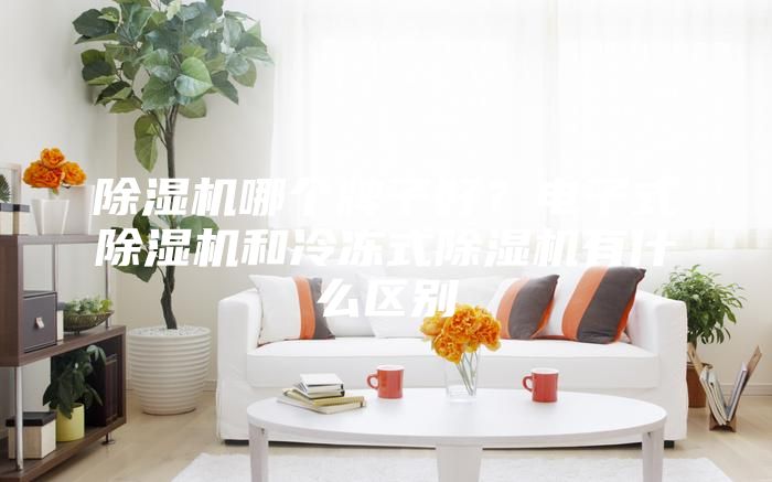 除湿机哪个牌子好？电子式除湿机和冷冻式除湿机有什么区别