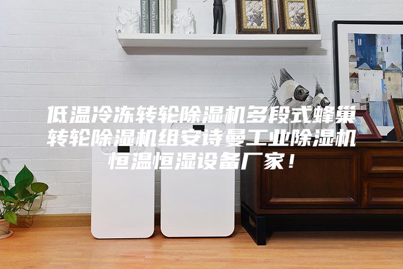 低温冷冻转轮除湿机多段式蜂巢转轮除湿机组安诗曼工业除湿机恒温恒湿设备厂家！