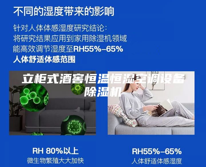 立柜式酒窖恒温恒湿空调设备除湿机