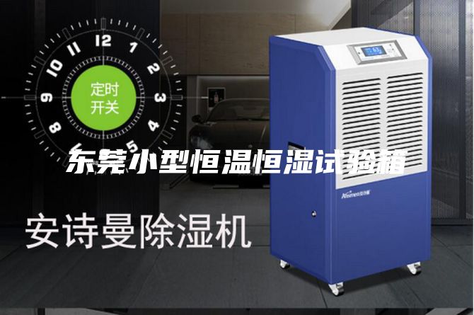 东莞小型恒温恒湿试验箱