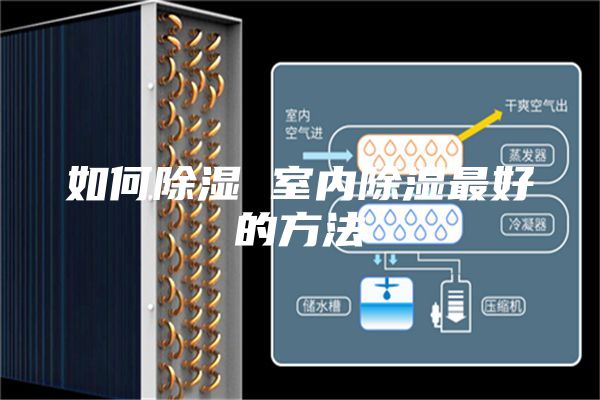 如何除湿 室内除湿最好的方法
