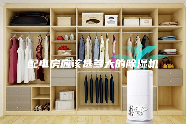 配电房应该选多大的除湿机