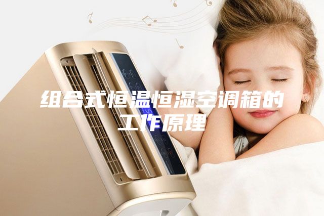 组合式恒温恒湿空调箱的工作原理