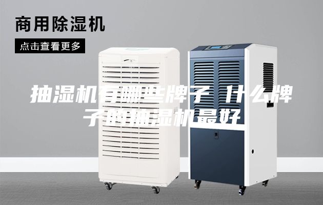 抽湿机有哪些牌子 什么牌子的抽湿机最好