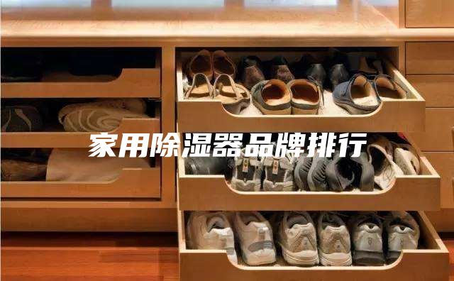 家用除湿器品牌排行