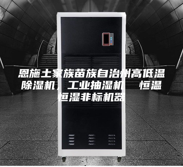 恩施土家族苗族自治州高低温除湿机，工业抽湿机  恒温恒湿非标机器