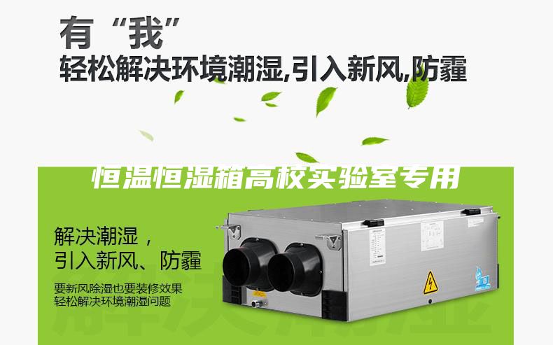 恒温恒湿箱高校实验室专用