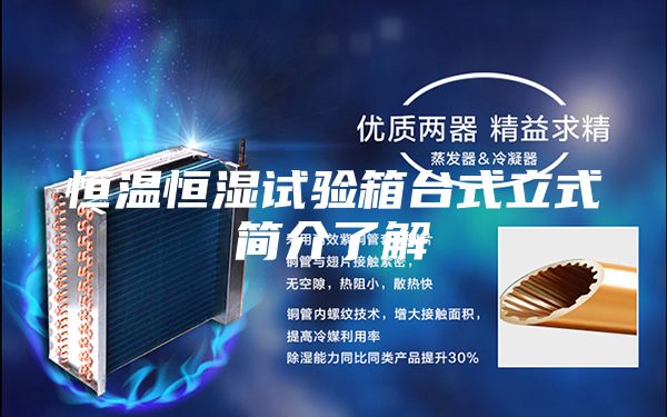 恒温恒湿试验箱台式立式简介了解