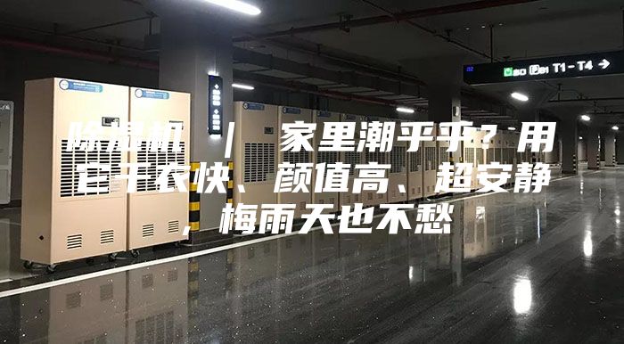 除湿机 ｜ 家里潮乎乎？用它干衣快、颜值高、超安静，梅雨天也不愁