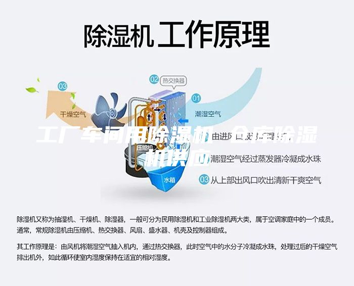 工厂车间用除湿机 仓库除湿机供应
