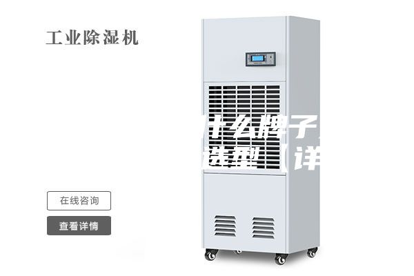 家用除湿机什么牌子好 除湿机怎么选型【详解】