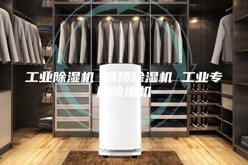 工业除湿机 吊顶除湿机 工业专用除湿机