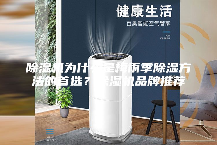 除湿机为什么是梅雨季除湿方法的首选？除湿机品牌推荐