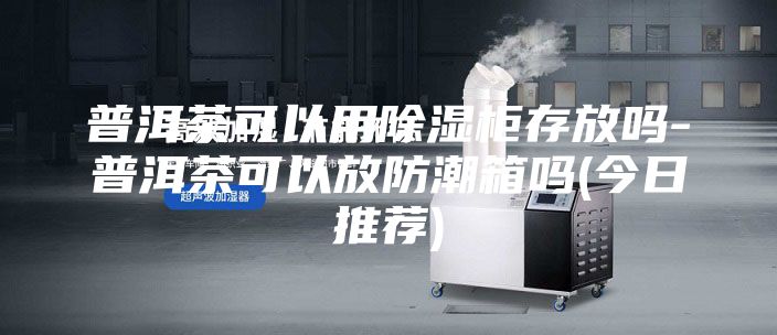普洱茶可以用除湿柜存放吗-普洱茶可以放防潮箱吗(今日推荐)