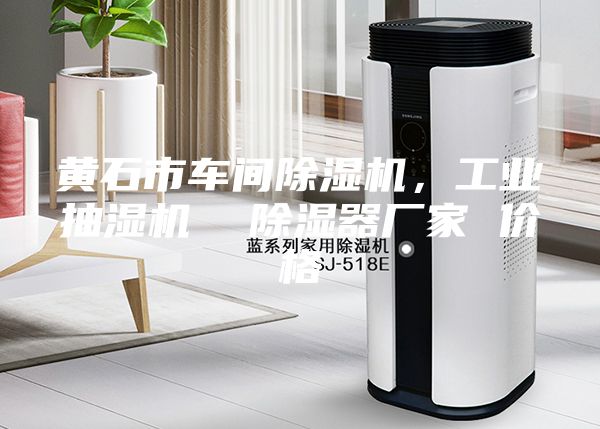 黄石市车间除湿机，工业抽湿机  除湿器厂家 价格