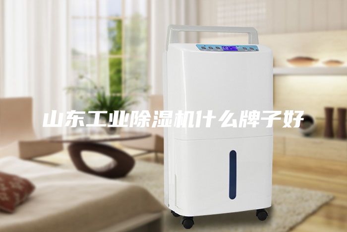 山东工业除湿机什么牌子好