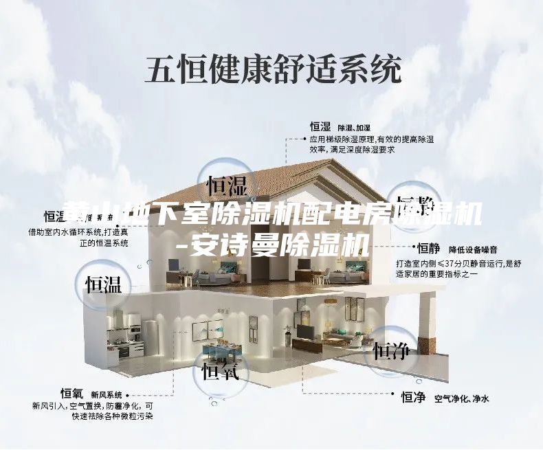 黄山地下室除湿机配电房除湿机-安诗曼除湿机
