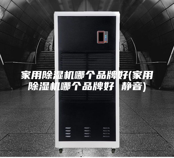 家用除湿机哪个品牌好(家用除湿机哪个品牌好 静音)