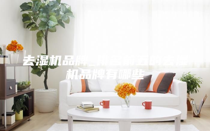 去湿机品牌_排名前五的去湿机品牌有哪些