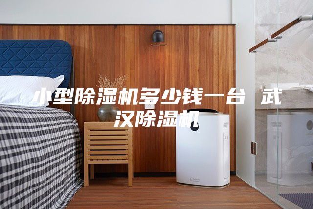 小型除湿机多少钱一台 武汉除湿机