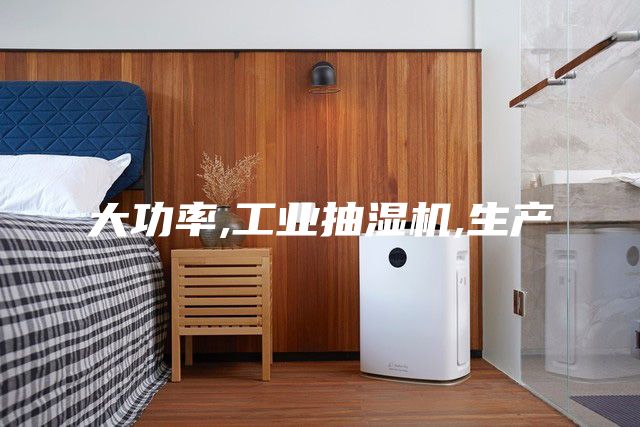 大功率,工业抽湿机,生产