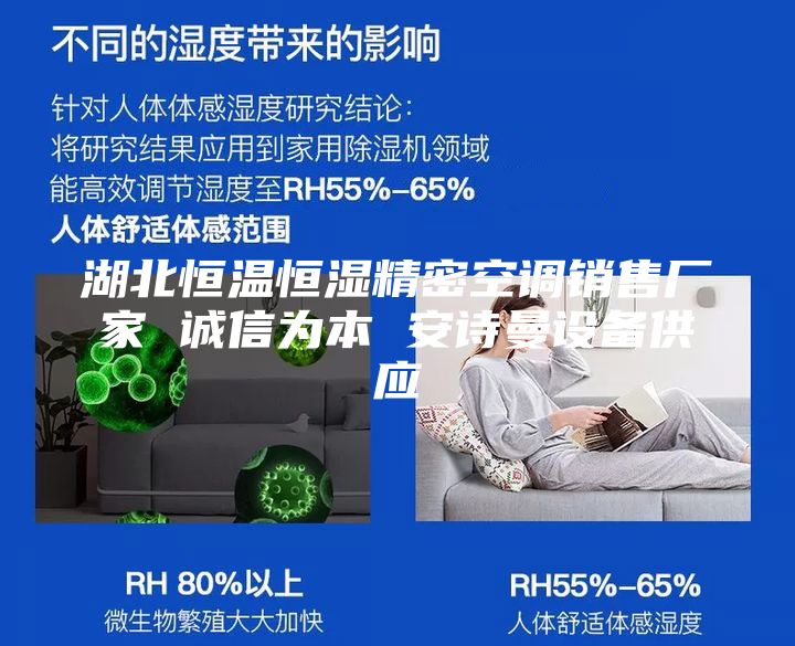 湖北恒温恒湿精密空调销售厂家 诚信为本 安诗曼设备供应