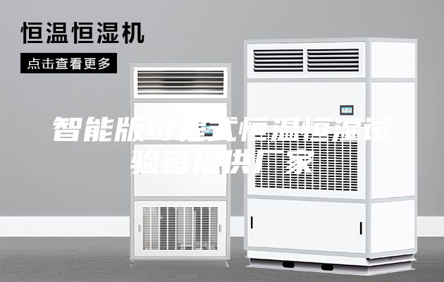 智能版可程式恒温恒湿试验箱提供厂家