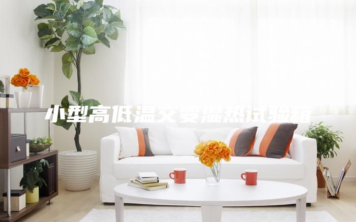 小型高低温交变湿热试验箱