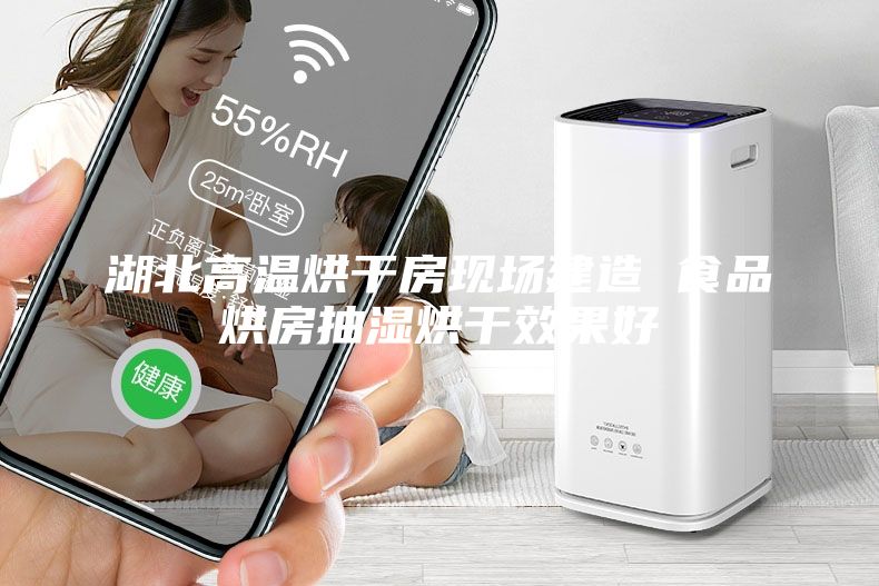 湖北高温烘干房现场建造 食品烘房抽湿烘干效果好