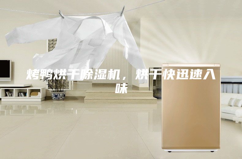 烤鸭烘干除湿机，烘干快迅速入味