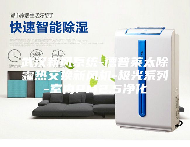 武汉新风系统-德普莱太除霾热交换新风机-极光系列-室内PM2.5净化