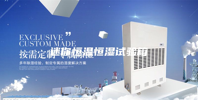 迷你恒温恒湿试验箱