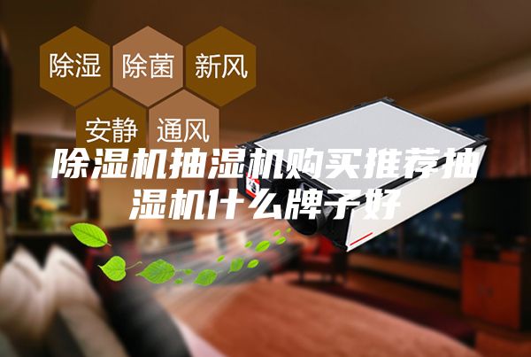 除湿机抽湿机购买推荐抽湿机什么牌子好