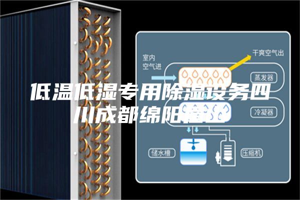 低温低湿专用除湿设务四川成都绵阳眉山