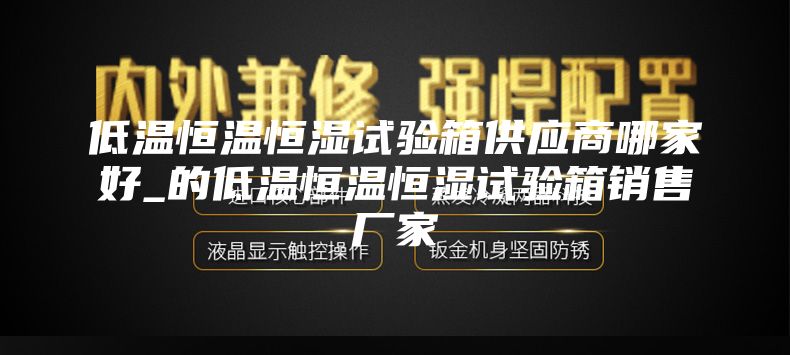 低温恒温恒湿试验箱供应商哪家好_的低温恒温恒湿试验箱销售厂家
