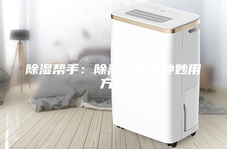 除湿帮手：除湿机的各种妙用方法