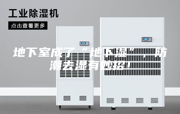地下室成了“地下湿”，防潮去湿有妙招！