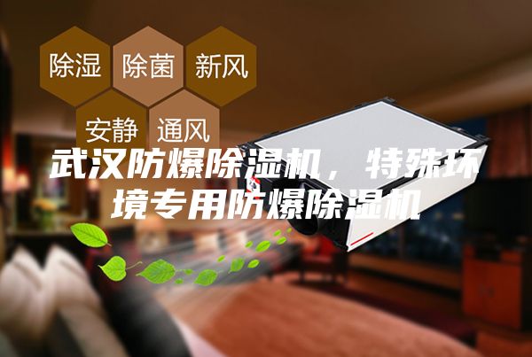 武汉防爆除湿机，特殊环境专用防爆除湿机