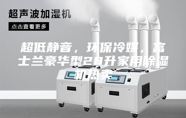 超低静音，环保冷媒，富士兰豪华型28升家用除湿机热卖