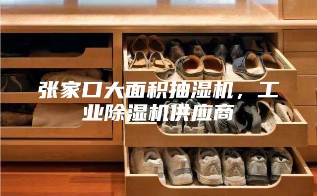 张家口大面积抽湿机，工业除湿机供应商