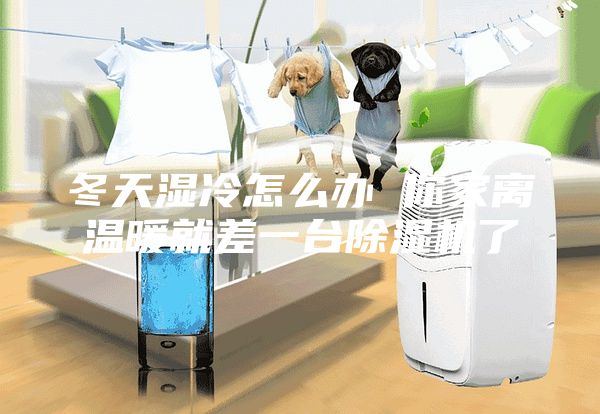 冬天湿冷怎么办 你家离温暖就差一台除湿机了