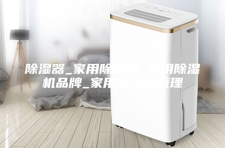 除湿器_家用除湿器_家用除湿机品牌_家用除湿机原理