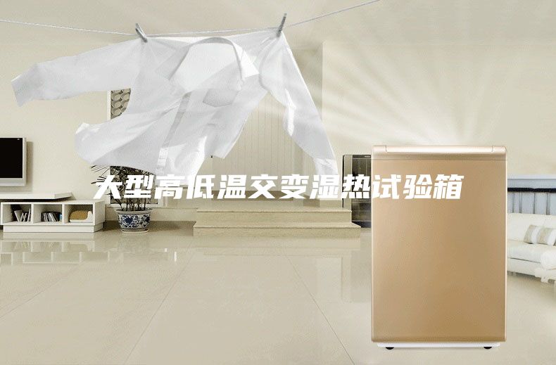 大型高低温交变湿热试验箱