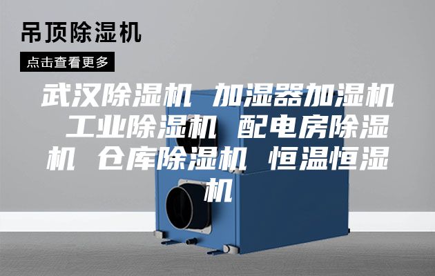 武汉除湿机 加湿器加湿机 工业除湿机 配电房除湿机 仓库除湿机 恒温恒湿机