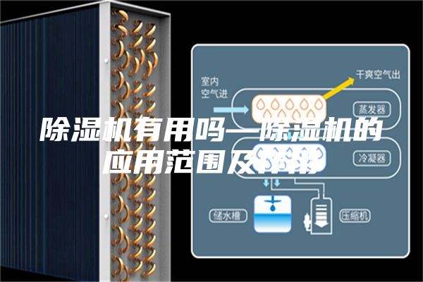 除湿机有用吗—除湿机的应用范围及作用
