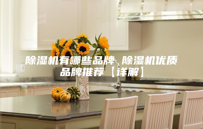 除湿机有哪些品牌 除湿机优质品牌推荐【详解】