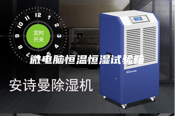 微电脑恒温恒湿试验箱