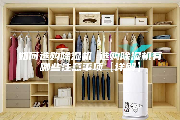 如何选购除湿机 选购除湿机有哪些注意事项【详解】