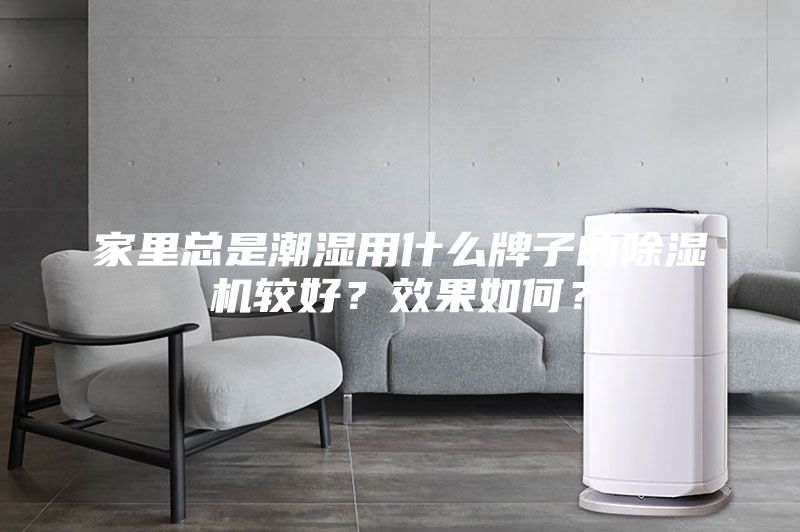 家里总是潮湿用什么牌子的除湿机较好？效果如何？